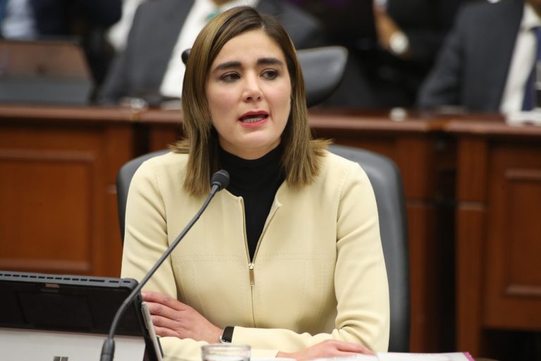 Consejera Electoral Dania Ravel  Cuevas