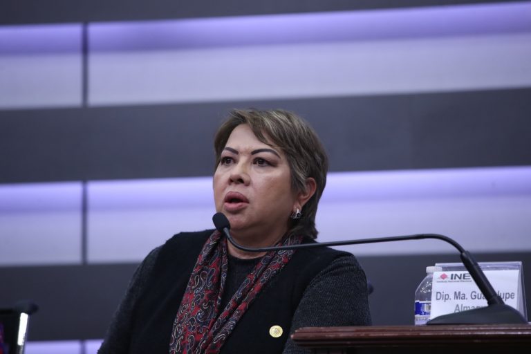 Guadalupe Almaguer, Diputada Federal.