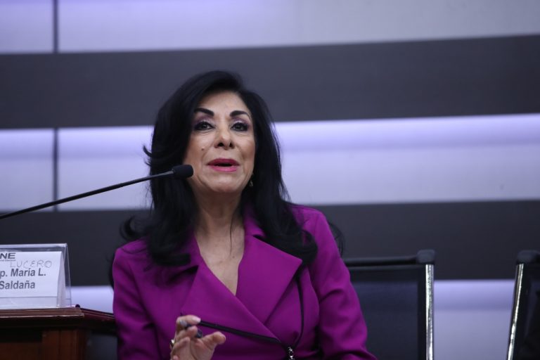 Lucero Saldaña, Diputada Federal.