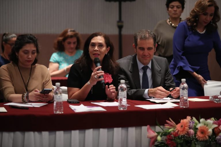 Consejera Electoral  del INE Adriana Favela Herrera