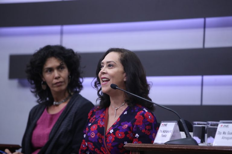 Adriana Favela Herrera, Consejera Electoral del INE.