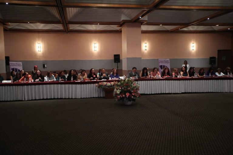 Plenaria del Colectivo de Mujeres 50 + 1