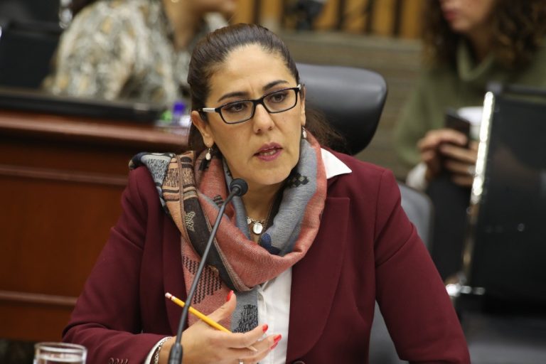 Consejera Electoral Claudia Zavala