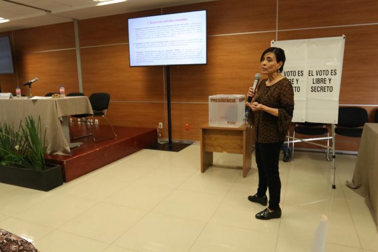 Leticia Varillas Mirón, Subdirectora de Investigación y Formación de la Unidad Técnica de Igualdad de Género y no Discriminación del INE.