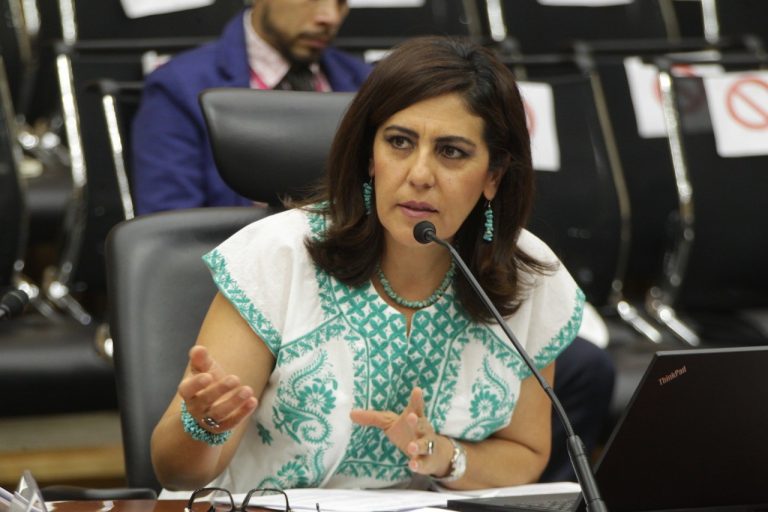 Consejera Electoral Claudia Zavala