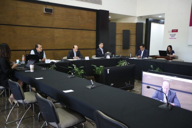 Simulacro del Voto electrónico por Internet de forma virtual con 10 Organismos Públicos Locales