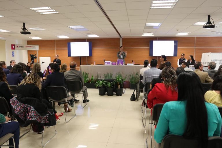 Adriana Favela Herrera, Consejera Electoral del INE.