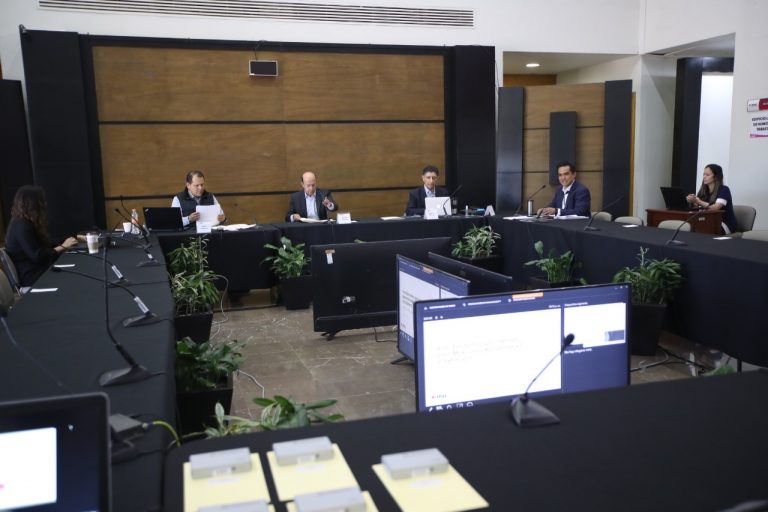 Simulacro del Voto electrónico por Internet de forma virtual con 10 Organismos Públicos Locales