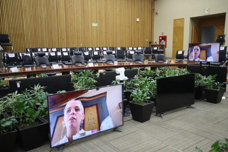 Consejera Electoral Pamela San Martín.