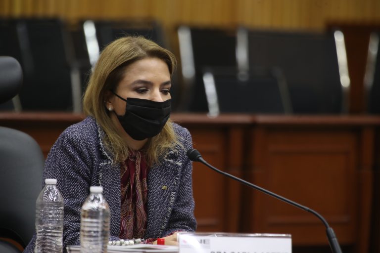 Carla Humphrey Jordán, Consejera Electoral