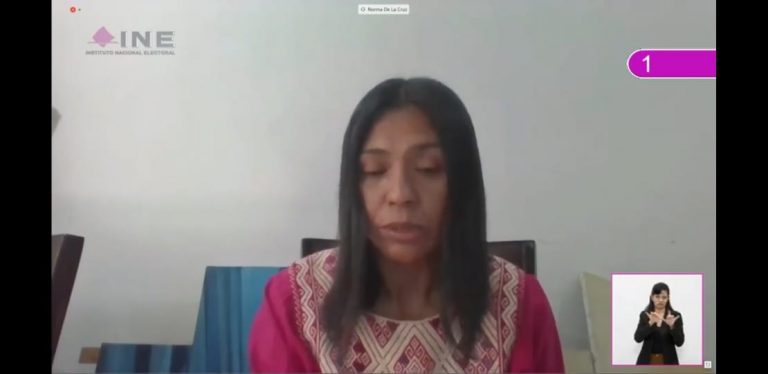 Norma Irene de la Cruz, Consejera Electoral.