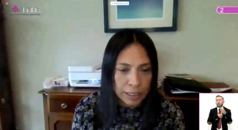 Norma Irene de la Cruz Magaña, Consejera Electoral.