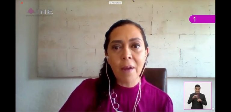 Adriana Favela Herrera, Consejera Electoral.