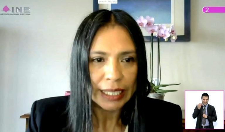 Norma Irene de la Cruz Magaña, Consejera Electoral.