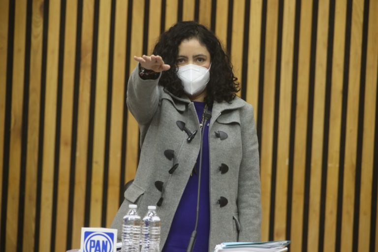 Mariana de la Chiaca Huerta, Representante del Partido Acción Nacional.
