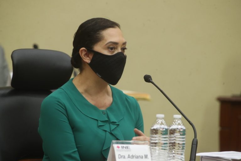 Adriana Favela Herrera, Consejera Electoral