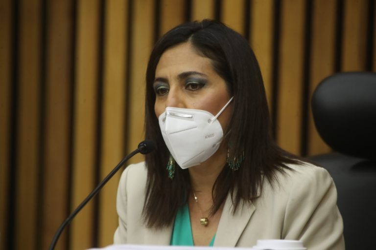 Claudia Zavala Pérez Consejera Electoral.