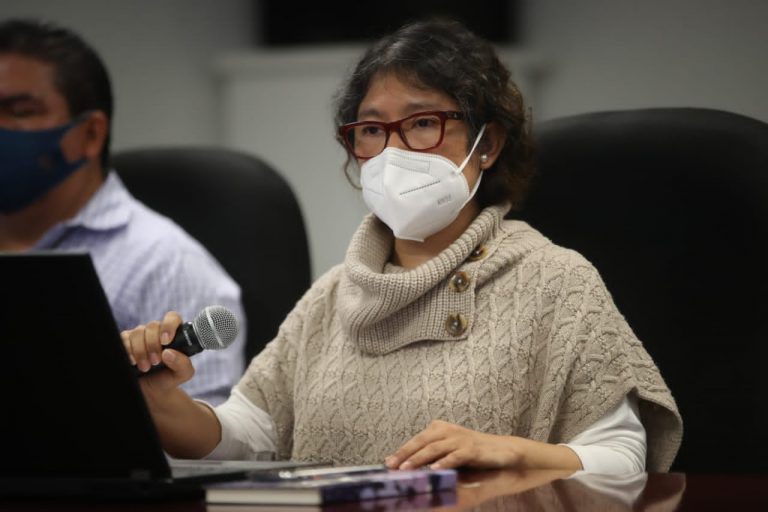 Representantes designados por los promoventes de la Consulta Popular.