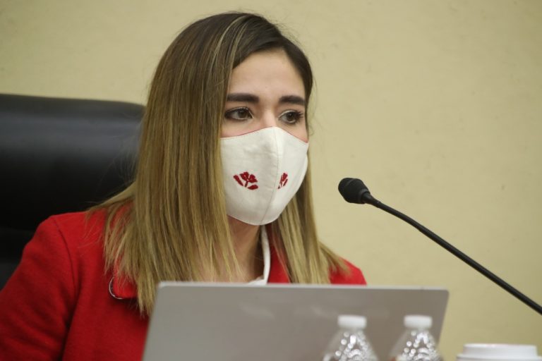 Dania Ravel cuevas, Consejera Electoral.