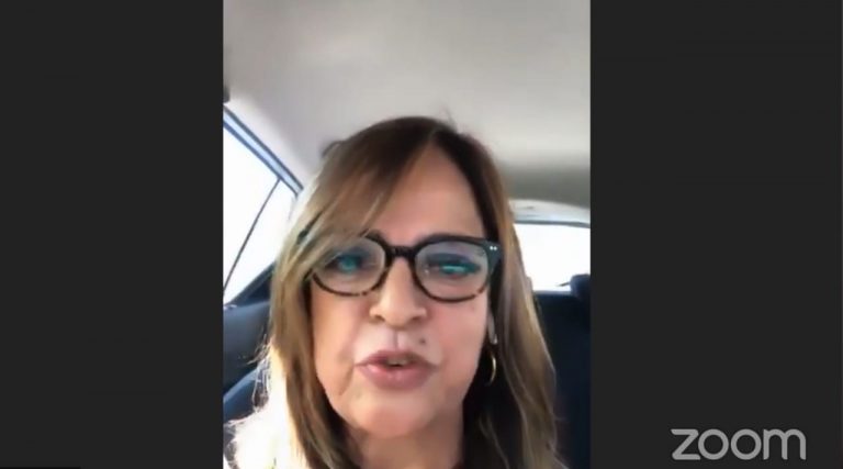 Lorena Villavicencio, Diputada Federal.