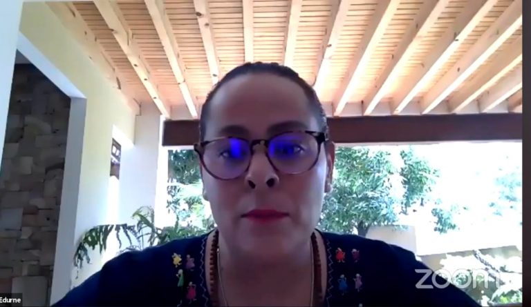 Ochoa Edurne, Consultora política para campañas con perspectiva de género