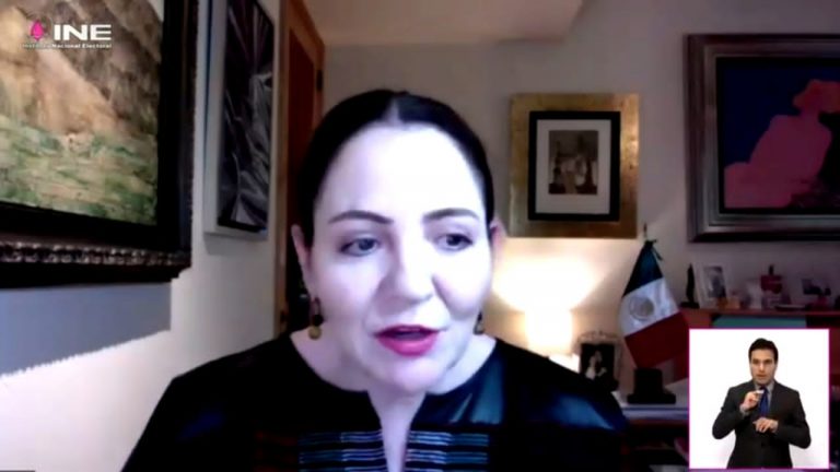 María del Carmen Alanis, Catedrática de la Facultad de Derecho.