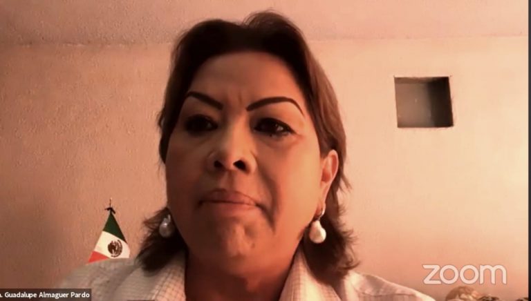 Guadalupe Almaguer, Diputada Federal.