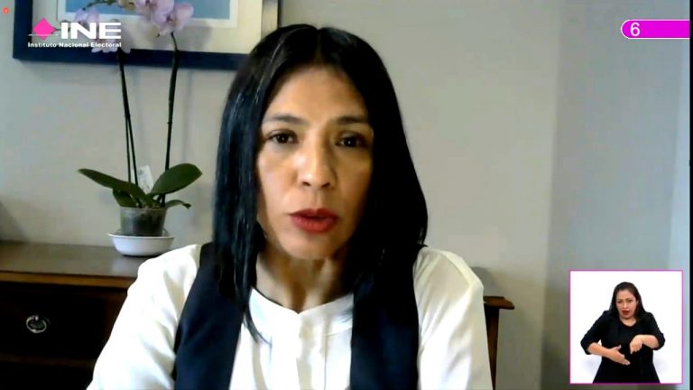 Norma Irene De la Cruz Magaña, Consejera Electoral.
