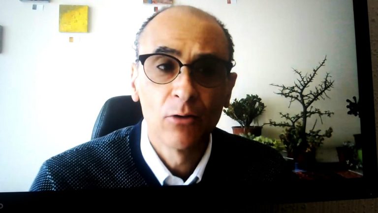 Martín Faz Mora, Consejero Electoral.