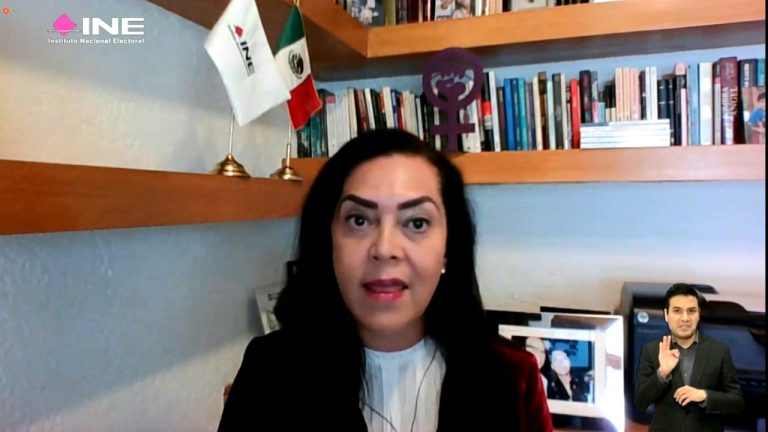 Adriana Favela Herrera, Consejera Electoral