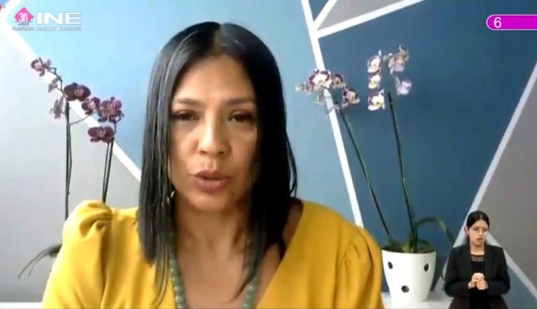Norma Irene De La Cruz Magaña, Consejera Electoral.
