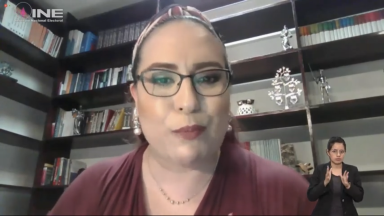 María del Carmen Calderón Castro, Especialista en Materia de Participación Política de Personas con Discapacidad.