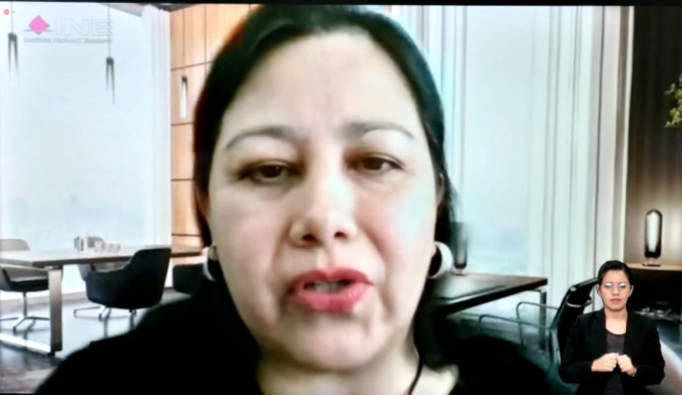 Roxana Pacheco Martínez, Fundación para la Inclusión y Desarrollo de Personas con Discapacidad A.C.