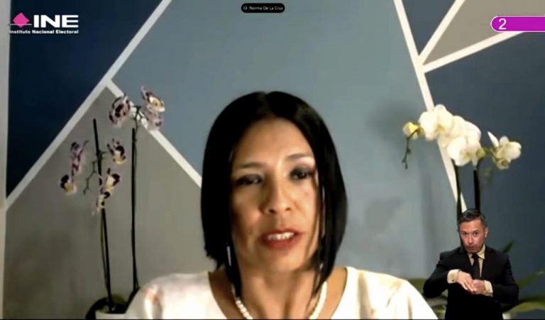 Norma Irene De La Cruz Saldaña, Consejera Electoral
