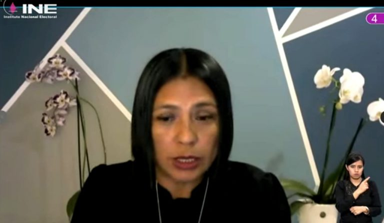 Norma Irene De La Cruz Magaña, Consejera Electoral.