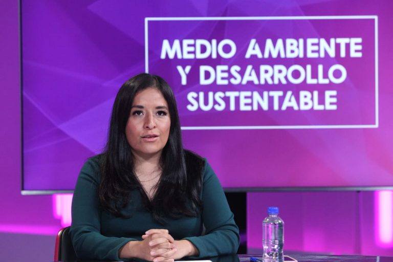 Ernestina Álvarez, Periodista