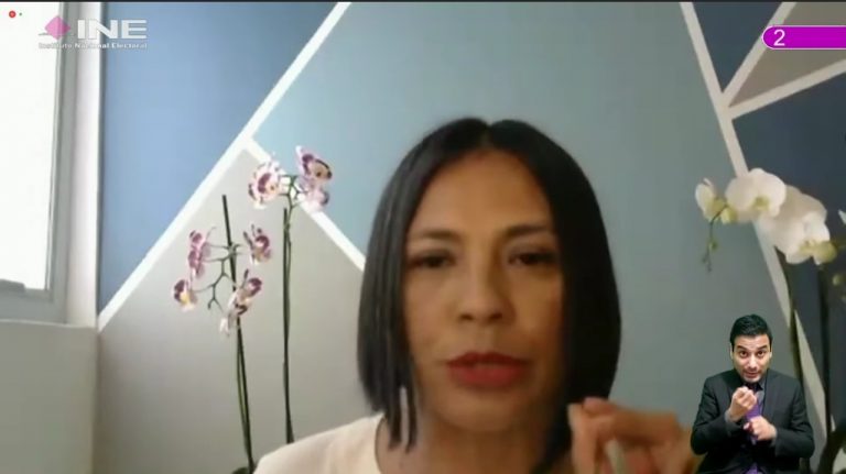 Norma Irene De La Cruz Magaña, Consejera Electoral.