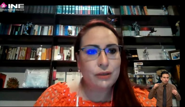 María del Carmen Carreón Castro, Especialista en materia de Participación Política de Personas con Discapacidad.