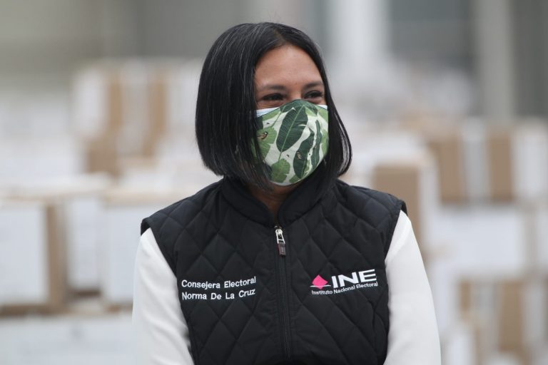 Norma Irene De La Cruz Magaña, Consejera Electoral.