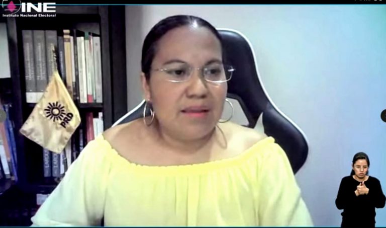 Tania Roque Medel, Representante del PRD.