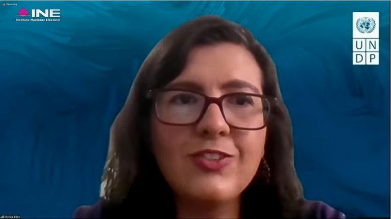 Mónica Eden Wynter, Coordinadora de proyectos electorales