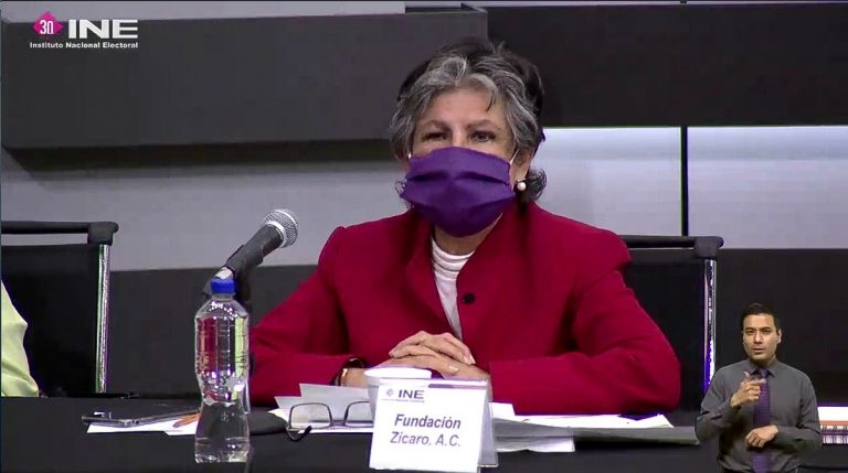 María del Carmen Gutiérrez, Fundación Zícaro A.C.