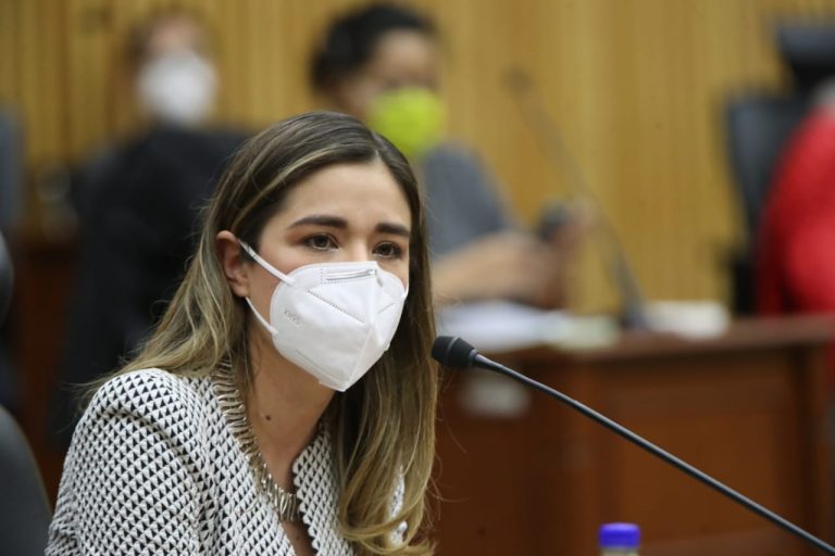 Dania Ravel Cuevas, Consejera Electoral.