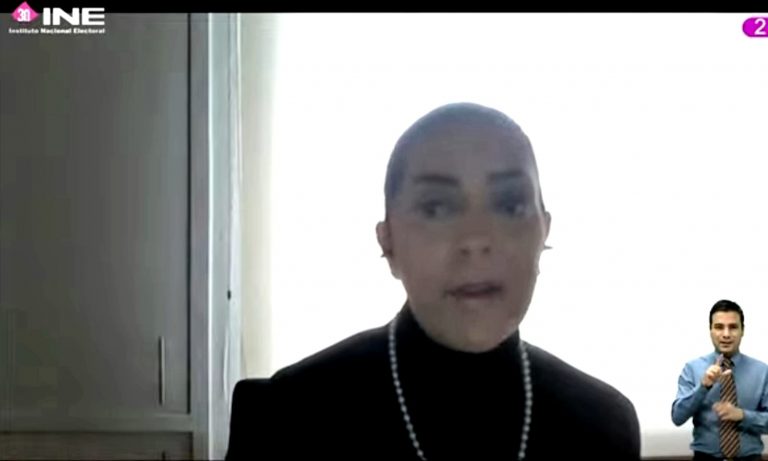 Adriana Favela Herrera, Consejera Electoral.