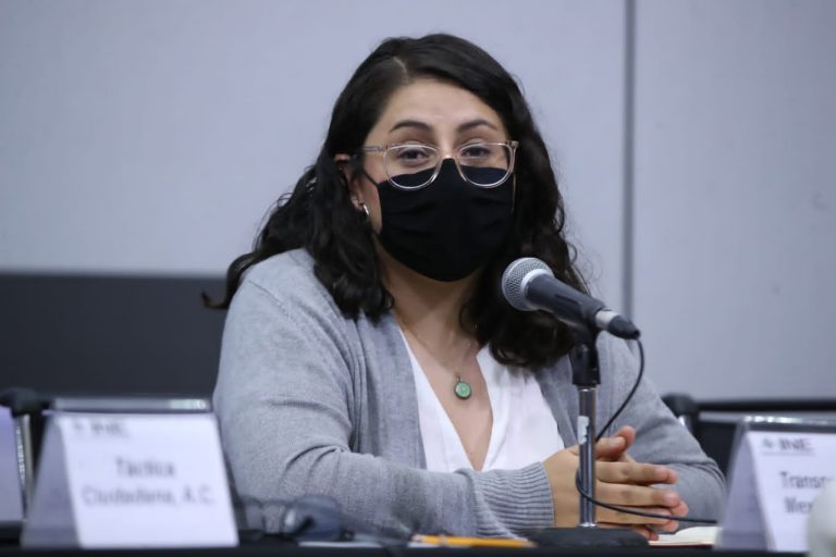 Mariel Miranda, Transparencia Mexicana, A.C.