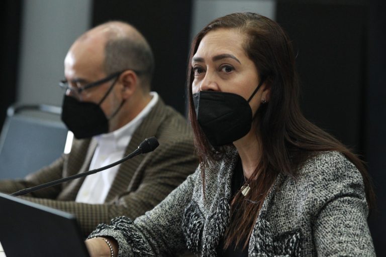 Jaime Rivera y Adriana Favela, Consejeros electorales.