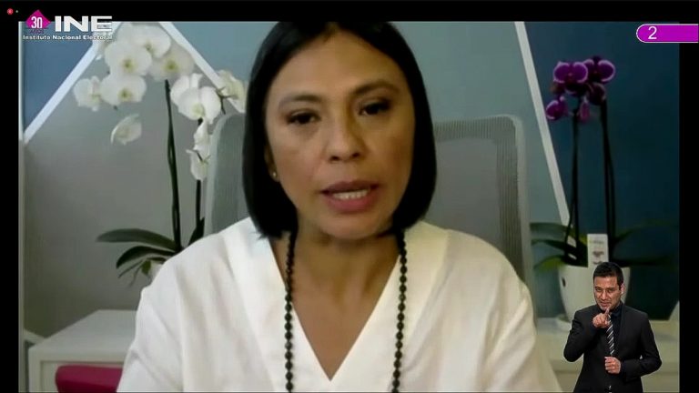 Norma Irene De La Cruz Magaña, Consejera Electoral.