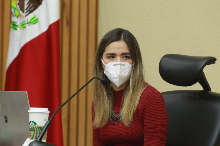 Dania Ravel Cuevas, Consejera Electoral.