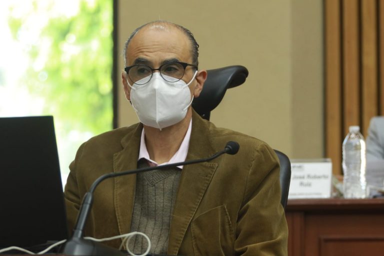 Martín Faz Mora, Consejero Electoral.