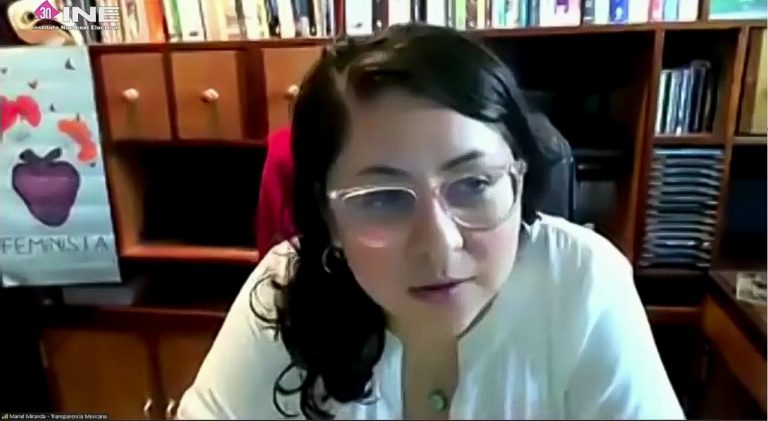 Mariel Miranda, Transparencia Mexicana.